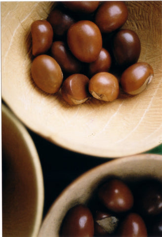 Le cavalier : les beurres de karité