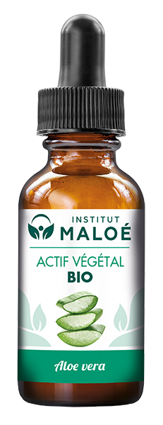 ACTIF VÉGÉTAL ALOE VERA BIO - INSTITUT MALOÉ