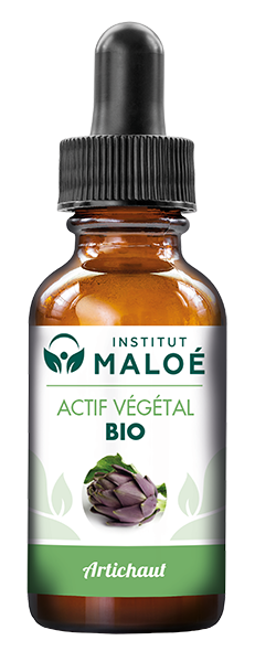 ACTIF VÉGÉTAL ARTICHAUT BIO - INSTITUT MALOÉ
