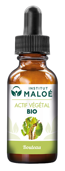 ACTIF VÉGÉTAL BOULEAU BIO - INSTITUT MALOÉ