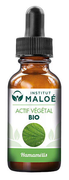 ACTIF VÉGÉTAL HAMAMÉLIS BIO - INSTITUT MALOÉ