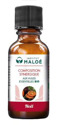 SYNERGIE NOËL BIO - INSTITUT MALOÉ