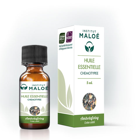 HUILE ESSENTIELLE AMBOLAFOTSY - INSTITUT MALOÉ