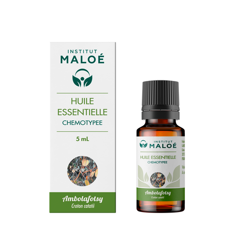 HUILE ESSENTIELLE AMBOLAFOTSY - INSTITUT MALOÉ