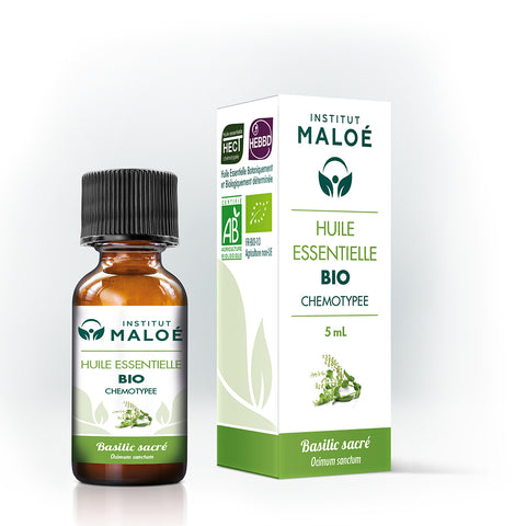 HUILE ESSENTIELLE BASILIC SACRÉ BIO - INSTITUT MALOÉ