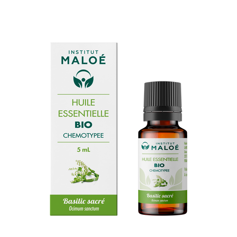 HUILE ESSENTIELLE BASILIC SACRÉ BIO - INSTITUT MALOÉ
