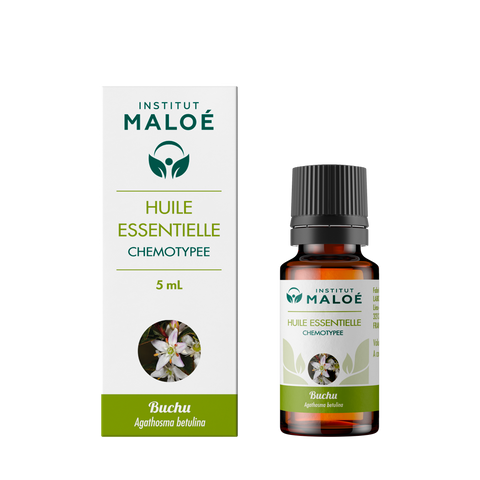 HUILE ESSENTIELLE BUCHU - INSTITUT MALOÉ