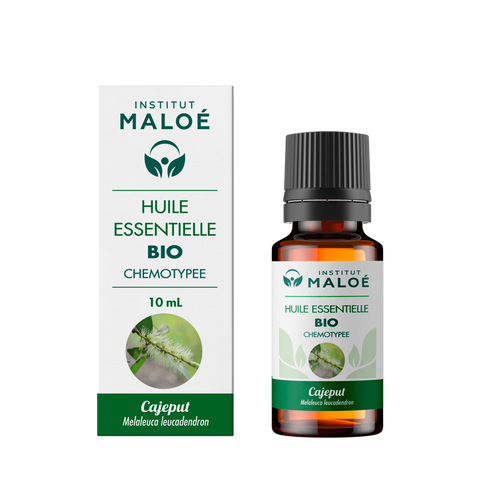 HUILE ESSENTIELLE CAJEPUT BIO - INSTITUT MALOÉ