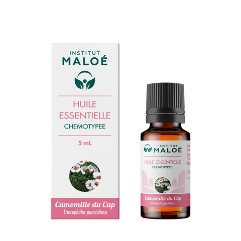 HUILE ESSENTIELLE CAMOMILLE DU CAP - INSTITUT MALOÉ