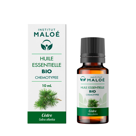 ORGANIC CEDAR EO 10 mL ALTHO