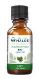 HUILE ESSENTIELLE CÈDRE BIO - INSTITUT MALOÉ