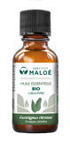 HUILE ESSENTIELLE EUCALYPTUS CITRONNÉ BIO - INSTITUT MALOÉ