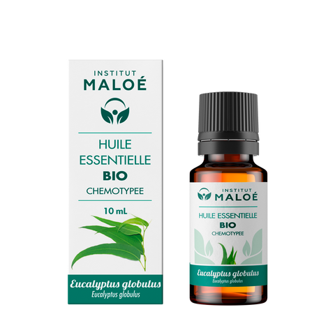 HE EUCALYPTUS GLOBULUS ORGANIC 10 mL ALTHO