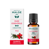 HE ORGANIC GAULTHERIE 10 mL ALTHO