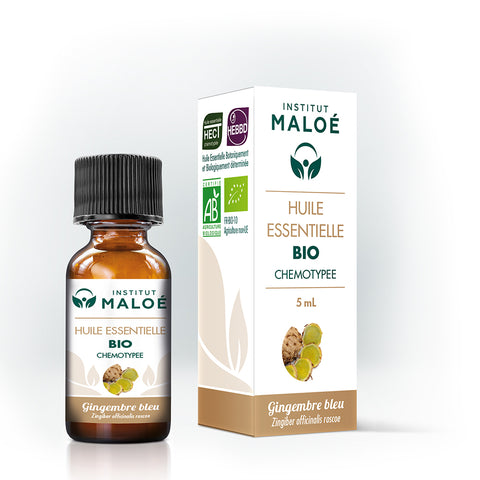 HUILE ESSENTIELLE GINGEMBRE BLEU BIO - INSTITUT MALOÉ