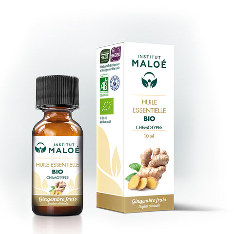 HUILE ESSENTIELLE GINGEMBRE FRAIS BIO - INSTITUT MALOÉ