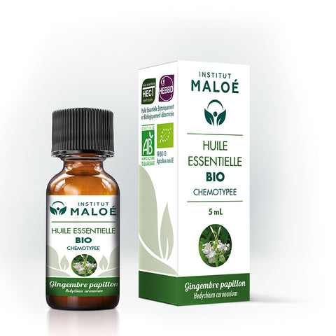 HUILE ESSENTIELLE GINGEMBRE PAPILLON BIO - INSTITUT MALOÉ