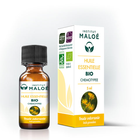 HUILE ESSENTIELLE INULE ODORANTE BIO - INSTITUT MALOÉ