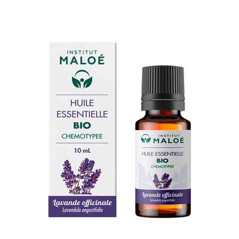 HE ORGANIC OFFICINAL LAVENDER 10 mL ALTHO DEG