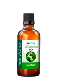 HUILE VÉGÉTALE CALOPHYLLE BIO - INSTITUT MALOÉ