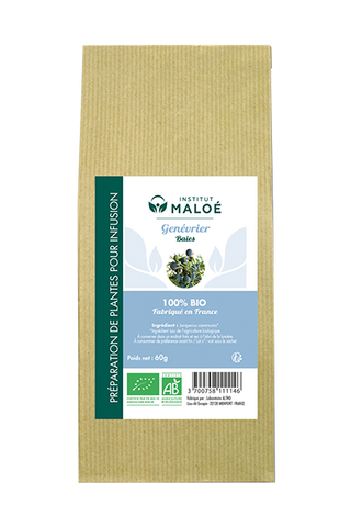 TISANE GENÉVRIER BIO - INSTITUT MALOÉ